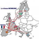 mag9_newbone_reseau213