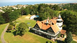 Electronique organique