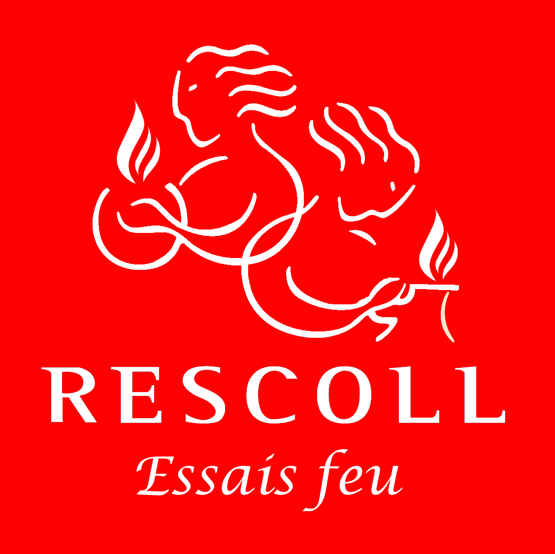 RESCOLL participe à l’évolution réglementaire de la sécurité incendie aéronautique (FAR 25)
