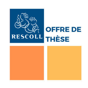 Offre de thèses : Matériaux poreux multi-échelles dédiés à la purification de l’air